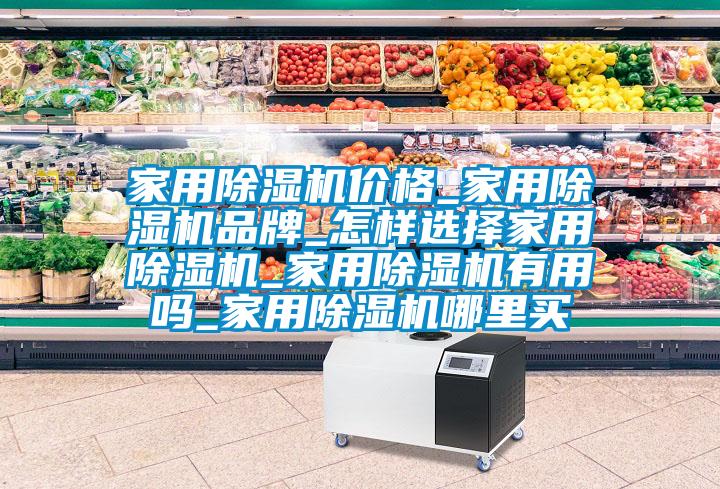 家用除濕機價格_家用除濕機品牌_怎樣選擇家用除濕機_家用除濕機有用嗎_家用除濕機哪里買