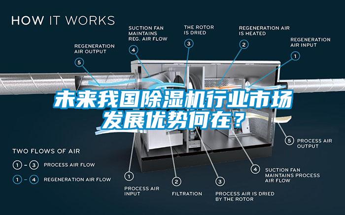 未來(lái)我國(guó)除濕機(jī)行業(yè)市場(chǎng)發(fā)展優(yōu)勢(shì)何在？