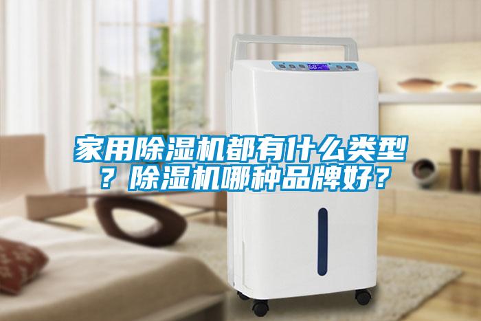 家用除濕機都有什么類型？除濕機哪種品牌好？