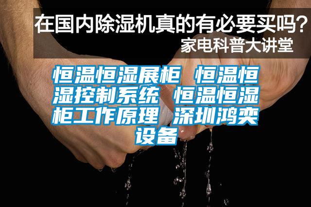 恒溫恒濕展柜 恒溫恒濕控制系統(tǒng) 恒溫恒濕柜工作原理 深圳鴻奕設(shè)備