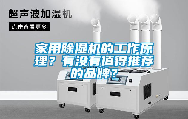 家用除濕機的工作原理？有沒有值得推薦的品牌？