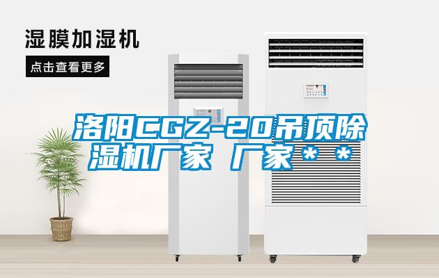 洛陽CGZ-20吊頂除濕機廠家 廠家＊＊