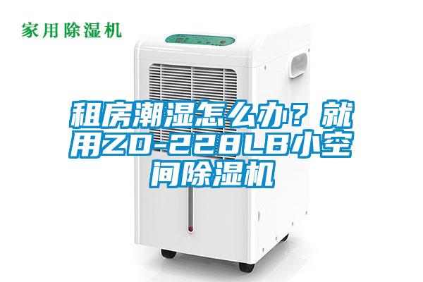 租房潮濕怎么辦？就用ZD-228LB小空間除濕機