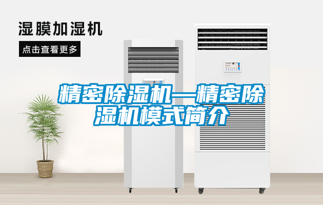 精密除濕機—精密除濕機模式簡介