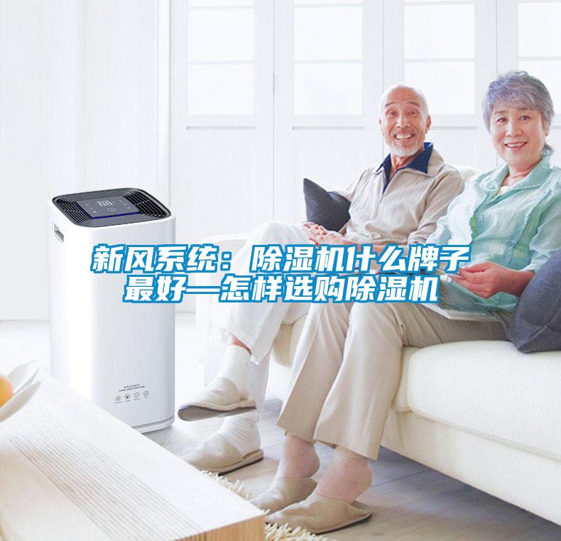 新風系統(tǒng)：除濕機什么牌子最好—怎樣選購除濕機