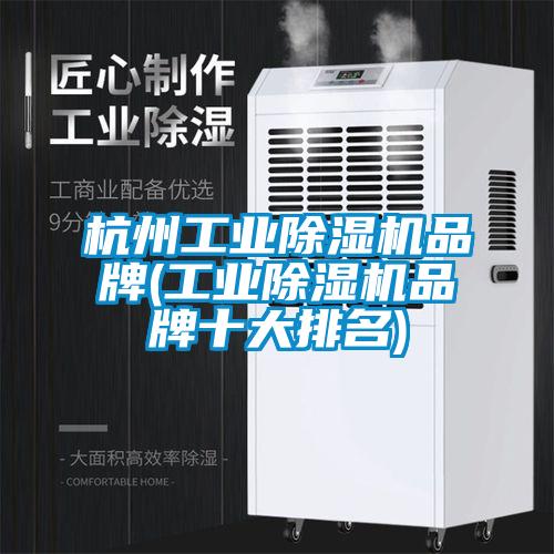 杭州工業(yè)除濕機品牌(工業(yè)除濕機品牌十大排名)