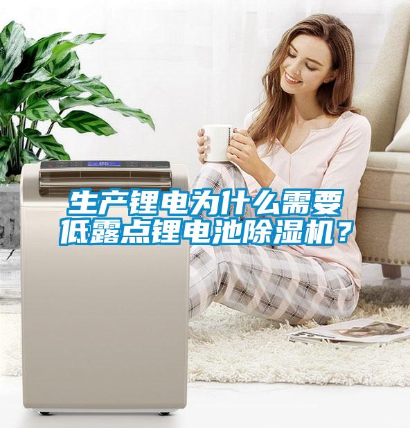 生產(chǎn)鋰電為什么需要低露點鋰電池除濕機？