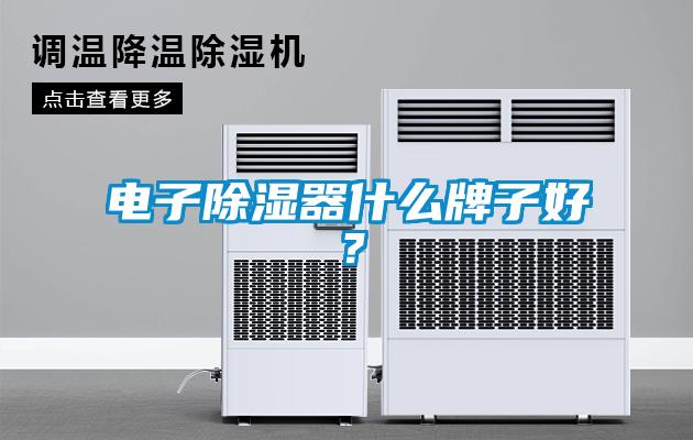 電子除濕器什么牌子好？