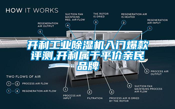 開利工業(yè)除濕機(jī)入門爆款評測,開利屬于平價(jià)親民品牌