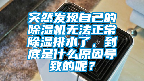 突然發(fā)現(xiàn)自己的除濕機無法正常除濕排水了，到底是什么原因?qū)е碌哪兀?/></p>
						    <p style=