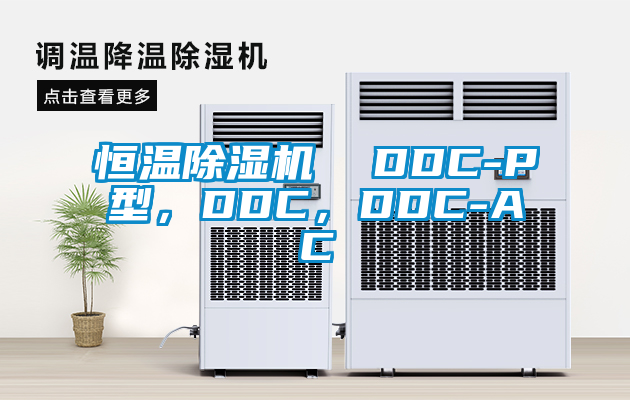 恒溫除濕機(jī)  DDC-P型，DDC，DDC-AC