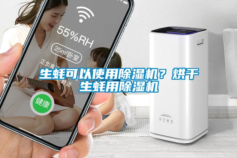 生蠔可以使用除濕機(jī)？烘干生蠔用除濕機(jī)