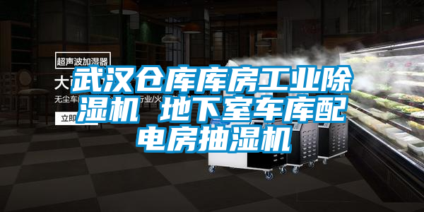 武漢倉庫庫房工業(yè)除濕機 地下室車庫配電房抽濕機