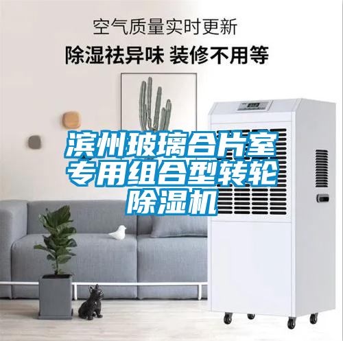 濱州玻璃合片室專用組合型轉(zhuǎn)輪除濕機(jī)