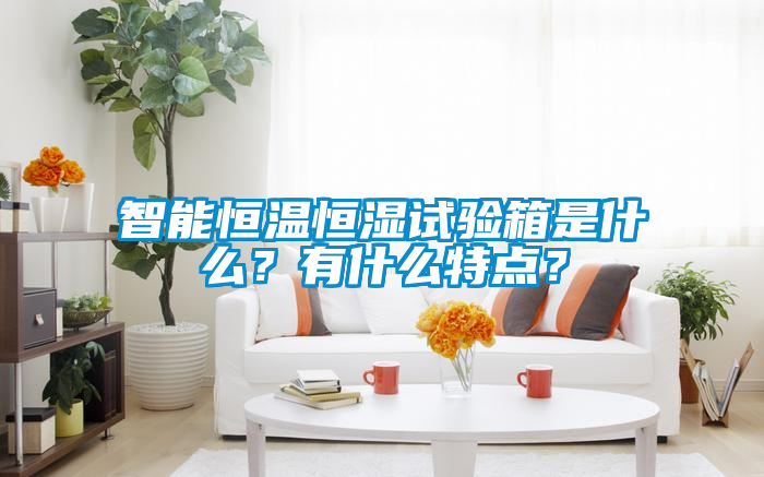 智能恒溫恒濕試驗箱是什么？有什么特點？