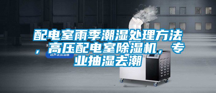 配電室雨季潮濕處理方法，高壓配電室除濕機(jī)，專業(yè)抽濕去潮