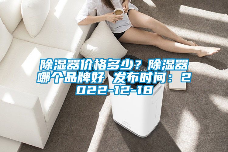 除濕器價(jià)格多少？除濕器哪個(gè)品牌好 發(fā)布時(shí)間：2022-12-18