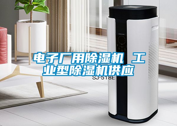 電子廠用除濕機 工業(yè)型除濕機供應