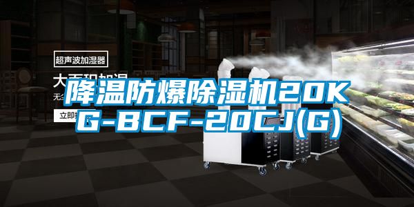 降溫防爆除濕機(jī)20KG-BCF-20CJ(G)