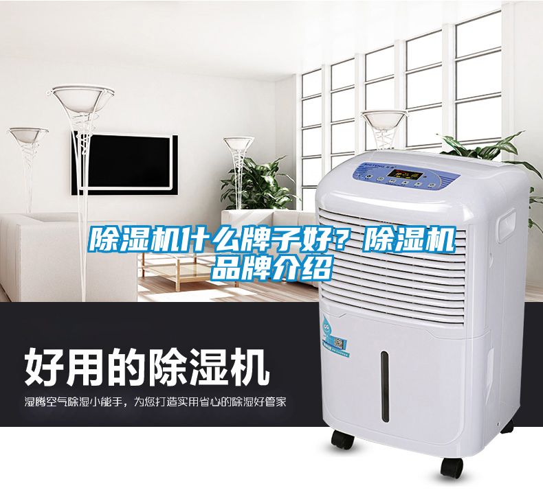 除濕機(jī)什么牌子好？除濕機(jī)品牌介紹