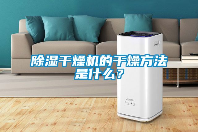 除濕干燥機的干燥方法是什么？