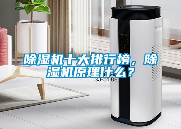 除濕機十大排行榜，除濕機原理什么？