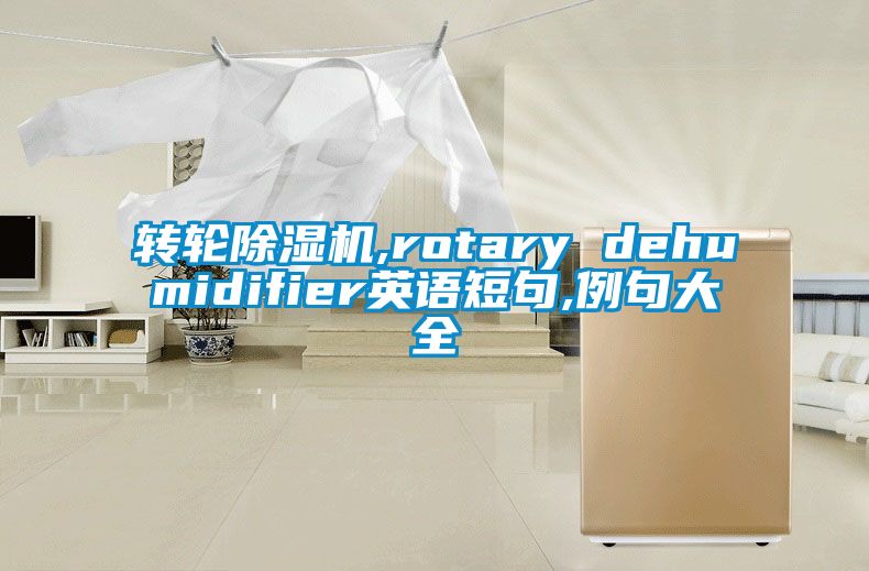 轉輪除濕機,rotary dehumidifier英語短句,例句大全