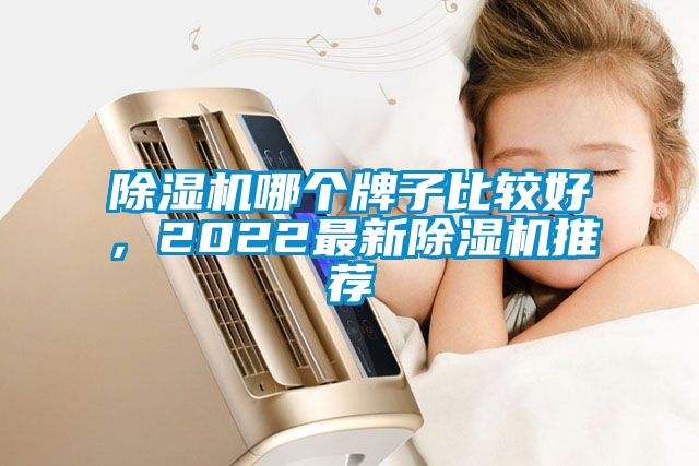 除濕機哪個牌子比較好，2022最新除濕機推薦