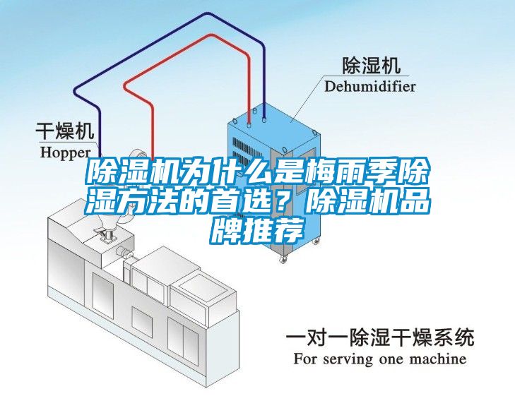 除濕機為什么是梅雨季除濕方法的首選？除濕機品牌推薦