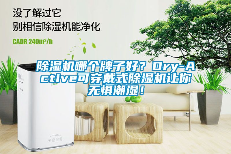 除濕機哪個牌子好？Dry-Active可穿戴式除濕機讓你無懼潮濕！