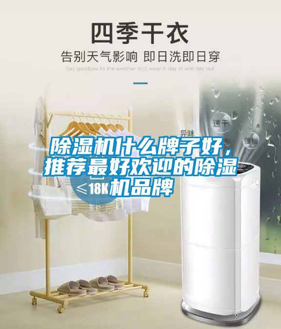 除濕機(jī)什么牌子好，推薦最好歡迎的除濕機(jī)品牌