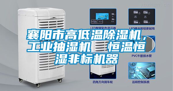 襄陽市高低溫除濕機，工業(yè)抽濕機  恒溫恒濕非標(biāo)機器