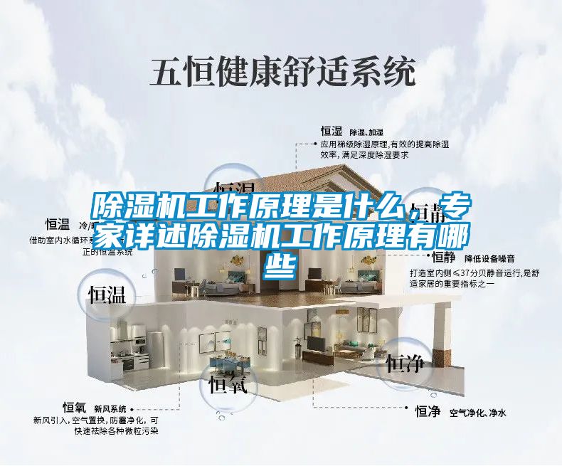 除濕機工作原理是什么，專家詳述除濕機工作原理有哪些