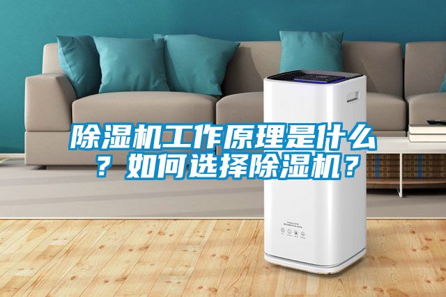 除濕機工作原理是什么？如何選擇除濕機？