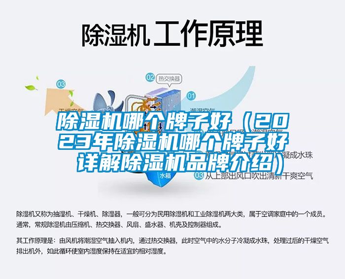 除濕機哪個牌子好（2023年除濕機哪個牌子好 詳解除濕機品牌介紹）