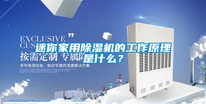 迷你家用除濕機的工作原理是什么？