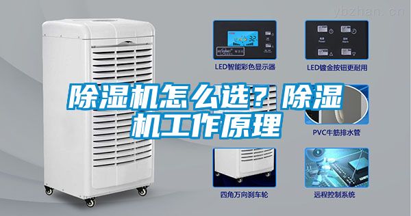 除濕機(jī)怎么選？除濕機(jī)工作原理