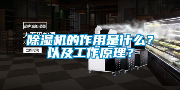 除濕機的作用是什么？以及工作原理？