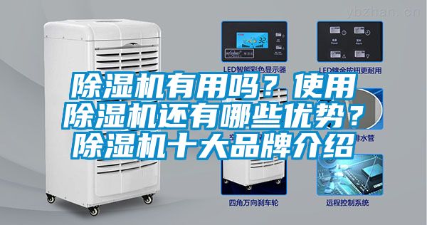 除濕機(jī)有用嗎？使用除濕機(jī)還有哪些優(yōu)勢？除濕機(jī)十大品牌介紹