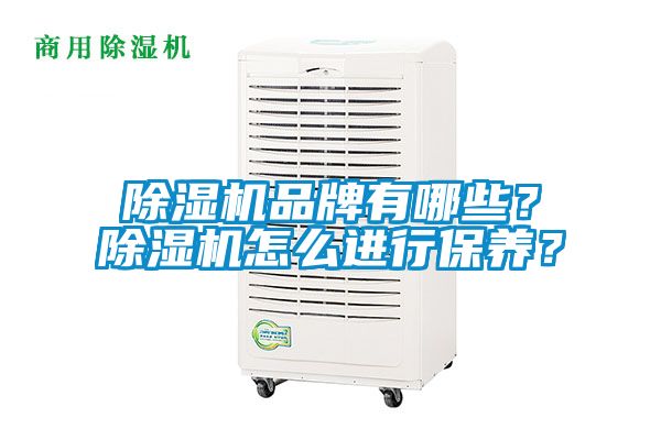 除濕機(jī)品牌有哪些？除濕機(jī)怎么進(jìn)行保養(yǎng)？