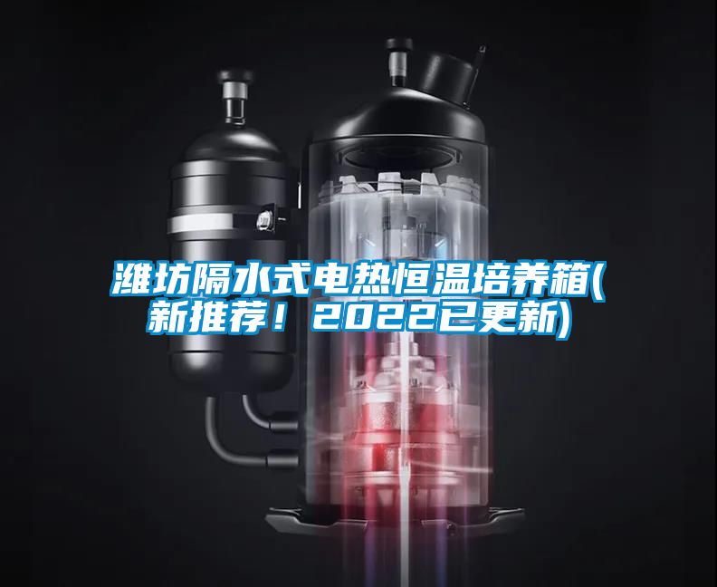 濰坊隔水式電熱恒溫培養(yǎng)箱(新推薦！2022已更新)