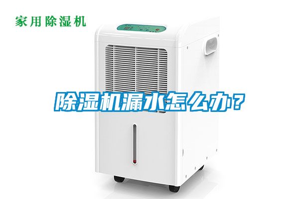 除濕機漏水怎么辦？