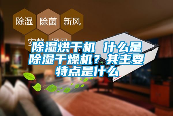 除濕烘干機 什么是除濕干燥機？其主要特點是什么