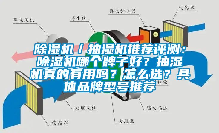 除濕機／抽濕機推薦評測：除濕機哪個牌子好？抽濕機真的有用嗎？怎么選？具體品牌型號推薦